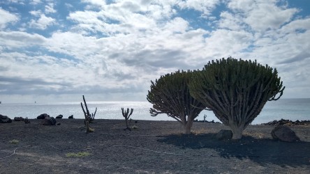 Costa Teguise Uferpromenade