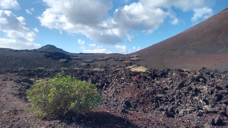 Wanderung Parque Natural Los Volcanes