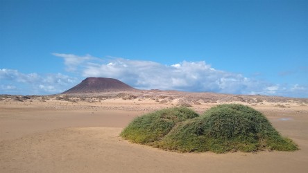 Wanderung am Strand, La Graciosa