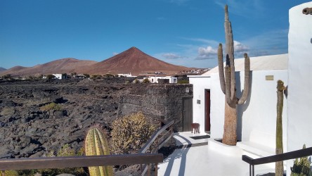 Fundación César Manrique