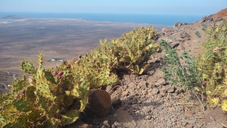 Wanderung rund um den Pico Redondo