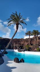 Jameos del Aqua