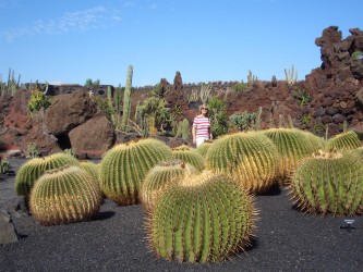 Jardín de Cactus (2005)