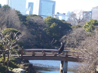 Shinjuku Gyoen Park