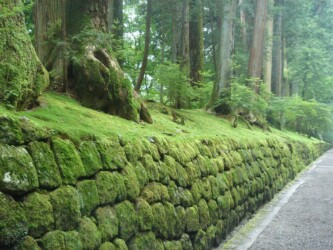 Nikkō Nationalpark