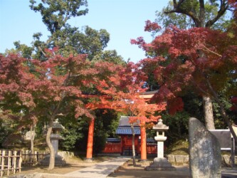 Tenryu-ji Garden