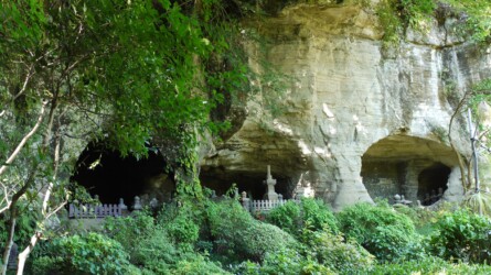 Hōkoku-ji · Bambus Tempel