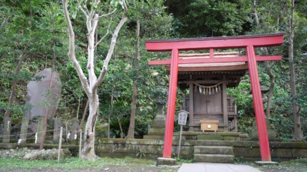 Torii auf Enoshima