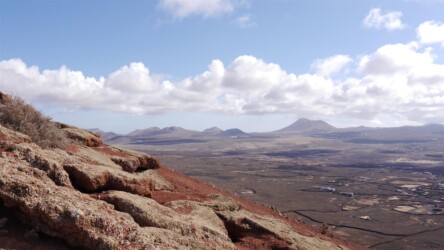 Flechten und Blick südwärts, Montaña Colorada