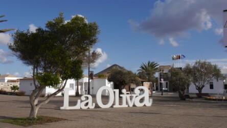 La Oliva