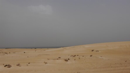 Parque natural Dunas de Corralejo