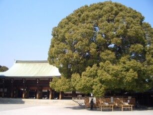 Meiji-Schrein im Yoyogi Park