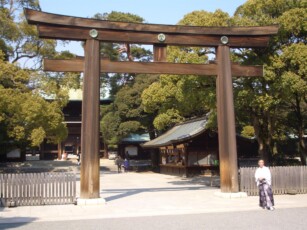 Meiji-Schrein im Yoyogi Park