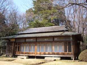 Iris Garden im Yokogi Park