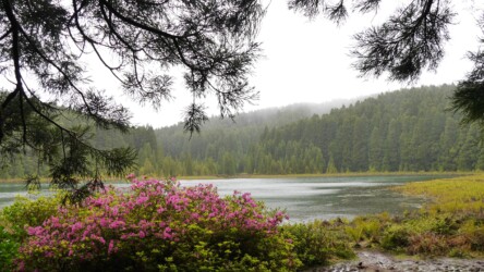 Lagoa do Canário, Serra Devassa