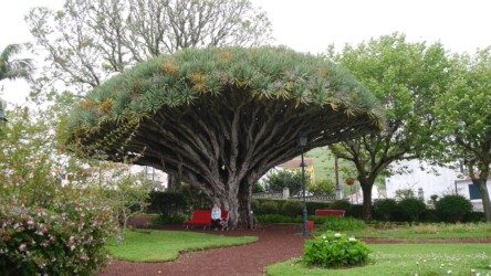 Jardim Florêncio Terra, Horta