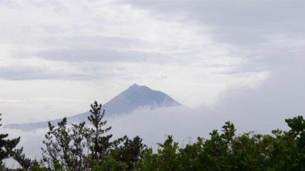 Blick auf Pico