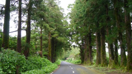 Unterwegs in den Osten