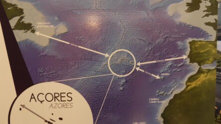 Entfernungen & Lage der Azoren