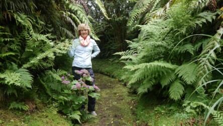 Jardim Botânico do Faial