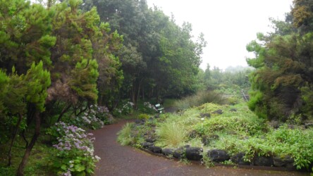 Jardim Botânico do Faial