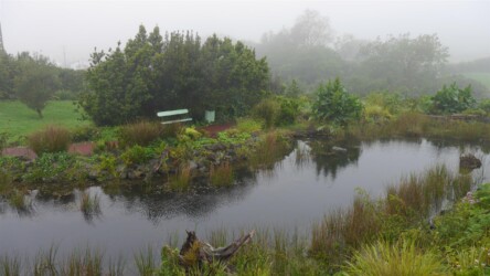 Jardim Botânico do Faial