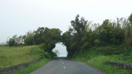 Unterwegs auf Faial