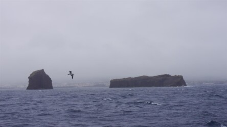 Ilhéu em Pé & Ilhéu Deitado vor Pico