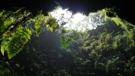 Lavahöhle Algar do Carvão
