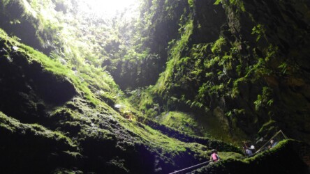 Lavahöhle Algar do Carvão