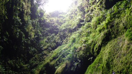 Lavahöhle Algar do Carvão