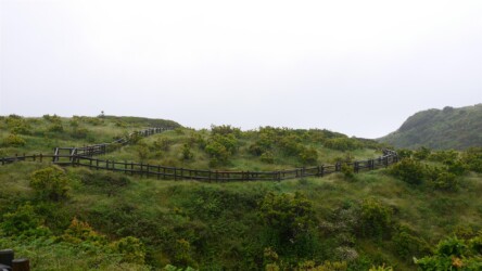 Rundgang, Schwefelquellen Furnas do Enxofre