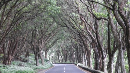 Unterwegs auf die Serra de Santa Bárbara