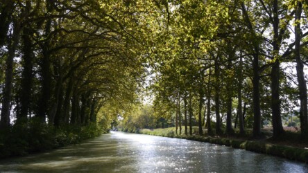 Am höchsten Punkt des Kanals