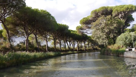 Beim Abzweig des Canal de Jonction