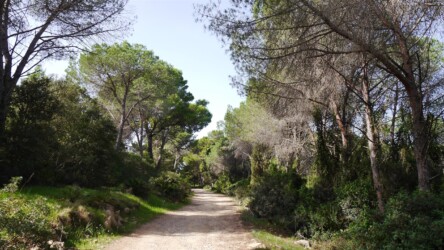 Parco Regionale di Porto Conte