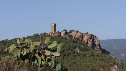 Alter Turm oberhalb Lago di Casteldoria