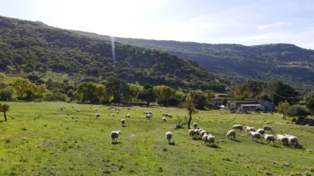 In den Bergen bei Sant'Andrea Priu