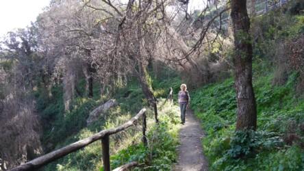 Abstieg zum Cascata di Sos Molinos