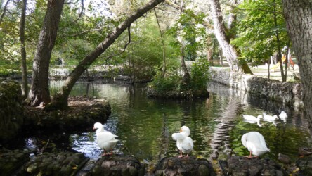 San Leonardo di Siete Fuentes