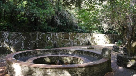 Siete Fuentes, San Leonardo