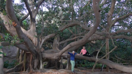 Orto Botanico di Cagliari