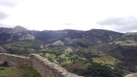 Blick auf die Steineichenwälder