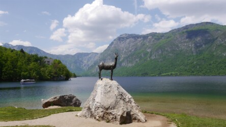 Bohinjsko jezero