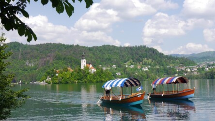 Blejsko jezero - Bleder See
