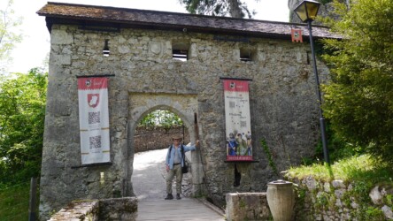 Blejski grad - Burg Bled