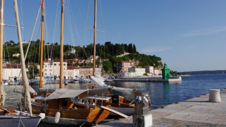 Hafen von Piran
