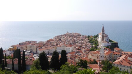 Blick auf Piran von Stadtmauer