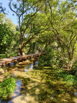 Wege entlang der Wasserfälle