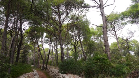 Wanderung Halbinsel Čikat